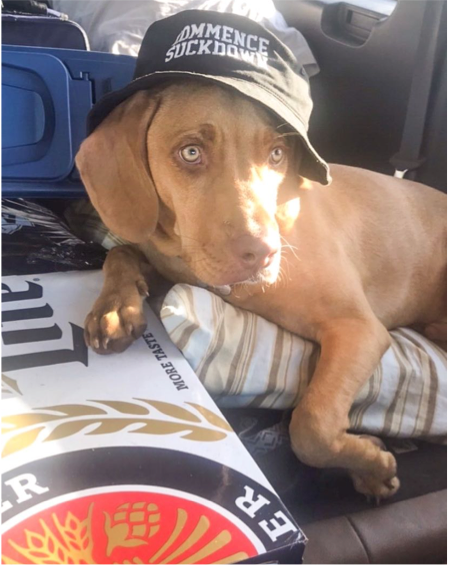 look-book-mobile5-updated